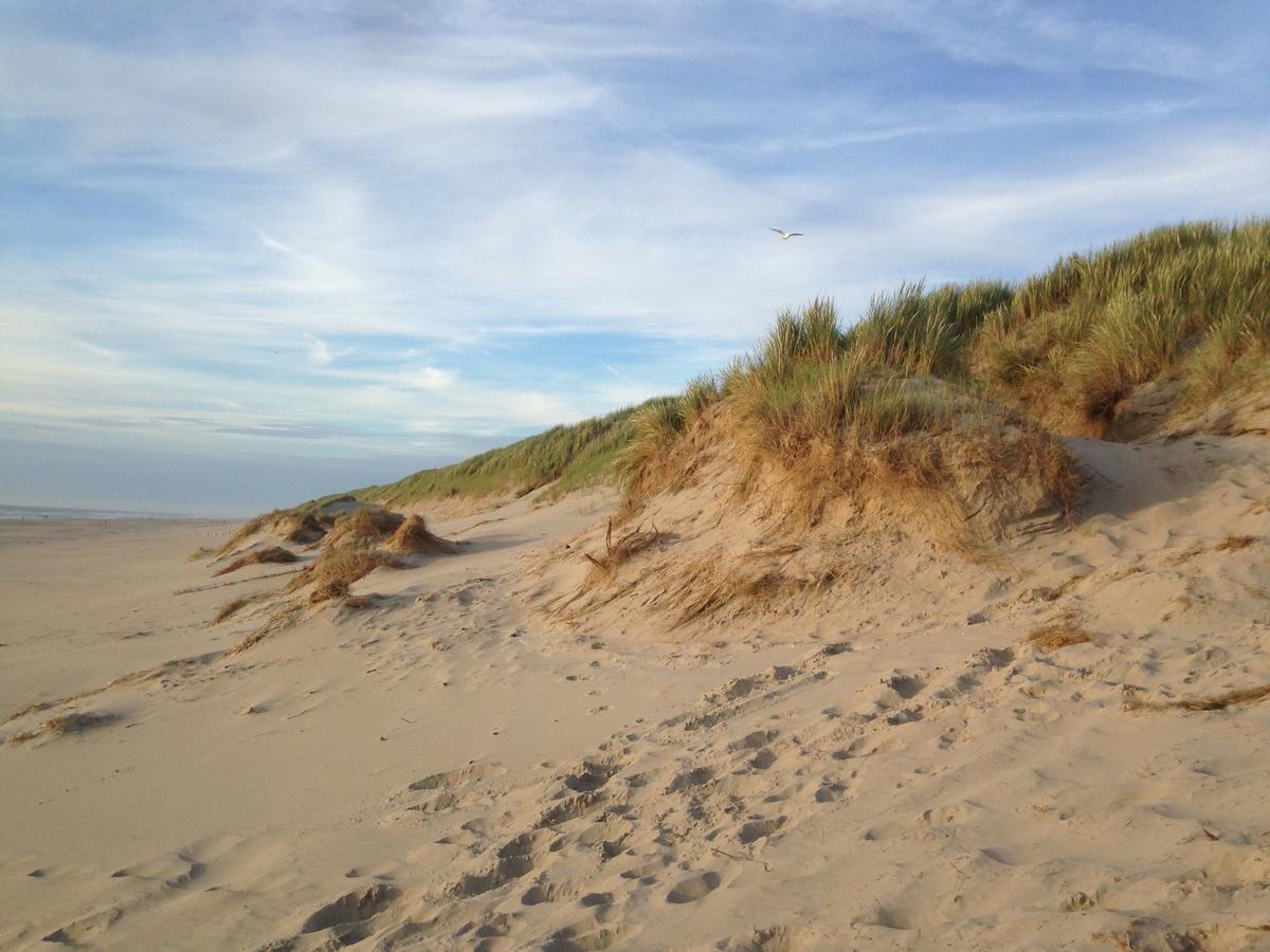 Beachhouses Texel De Koog  Zewnętrze zdjęcie